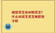 破壁灵芝也叫侧灵芝？什么叫双芝灵芝破壁孢子粉