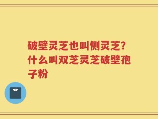 破壁灵芝也叫侧灵芝？什么叫双芝灵芝破壁孢子粉