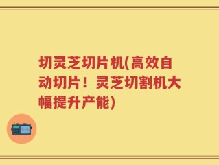 切灵芝切片机(高效自动切片！灵芝切割机大幅提升产能)