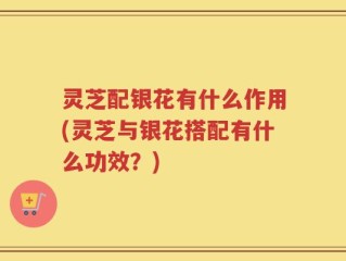 灵芝配银花有什么作用(灵芝与银花搭配有什么功效？)