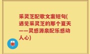 采灵芝配歌文案短句(遇见采灵芝的那个夏天——灵感源泉配乐感动人心)