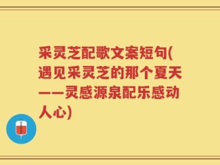 采灵芝配歌文案短句(遇见采灵芝的那个夏天——灵感源泉配乐感动人心)