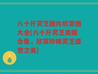 八十斤灵芝图片欣赏图大全(八十斤灵芝美图合集，欣赏珍稀灵芝盛世之美)