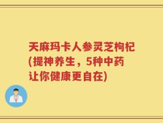 天麻玛卡人参灵芝枸杞(提神养生，5种中药让你健康更自在)