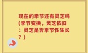 现在的季节还有灵芝吗(季节变换，灵芝依旧：灵芝是否季节性生长？)