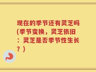 现在的季节还有灵芝吗(季节变换，灵芝依旧：灵芝是否季节性生长？)