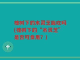 槐树下的木灵芝能吃吗(槐树下的“木灵芝”是否可食用？)