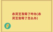 赤灵芝发霉了咋办(赤灵芝变霉了怎么办)
