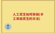 人工灵芝如何采摘(手工采摘灵芝的方法)