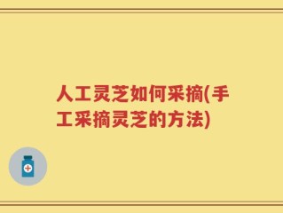 人工灵芝如何采摘(手工采摘灵芝的方法)