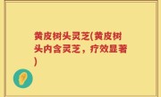 黄皮树头灵芝(黄皮树头内含灵芝，疗效显著)