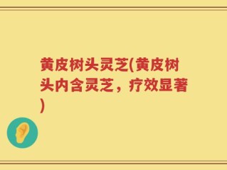黄皮树头灵芝(黄皮树头内含灵芝，疗效显著)