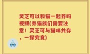 灵芝可以和猫一起养吗视频(养猫族们需要注意！灵芝可与猫咪共存，一探究竟)