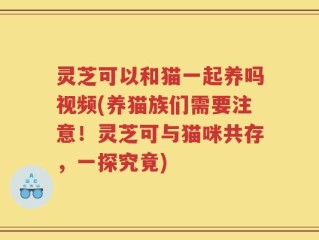 灵芝可以和猫一起养吗视频(养猫族们需要注意！灵芝可与猫咪共存，一探究竟)