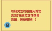 石斛灵芝花茶图片真实高清(石斛灵芝花茶高清图，惊艳眼球！)