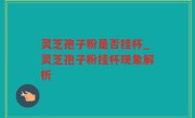 灵芝孢子粉是否挂杯_灵芝孢子粉挂杯现象解析