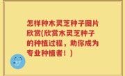怎样种木灵芝种子图片欣赏(欣赏木灵芝种子的种植过程，助你成为专业种植者！)