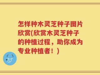 怎样种木灵芝种子图片欣赏(欣赏木灵芝种子的种植过程，助你成为专业种植者！)