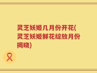 灵芝妖姬几月份开花(灵芝妖姬鲜花绽放月份揭晓)
