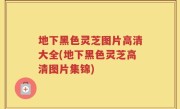 地下黑色灵芝图片高清大全(地下黑色灵芝高清图片集锦)