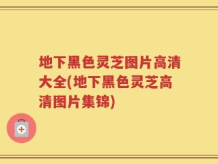 地下黑色灵芝图片高清大全(地下黑色灵芝高清图片集锦)