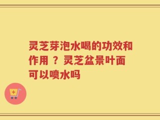 灵芝芽泡水喝的功效和作用 ？灵芝盆景叶面可以喷水吗