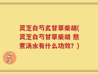 灵芝白芍炙甘草柴胡(灵芝白芍甘草柴胡 熬煮汤水有什么功效？)