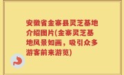 安徽省金寨县灵芝基地介绍图片(金寨灵芝基地风景如画，吸引众多游客前来游览)