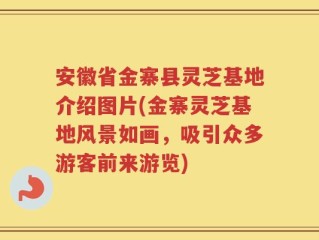 安徽省金寨县灵芝基地介绍图片(金寨灵芝基地风景如画，吸引众多游客前来游览)