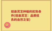 冠县灵芝种植的优势条件(冠县灵芝：品质优良的自然之宝)