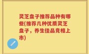 灵芝盘子推荐品种有哪些(推荐几种优质灵芝盘子，养生佳品竞相上市)