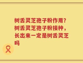 树舌灵芝孢子粉作用？树舌灵芝孢子粉接种，长出来一定是树舌灵芝吗