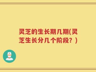 灵芝的生长期几期(灵芝生长分几个阶段？)