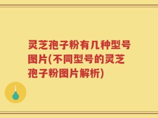 灵芝孢子粉有几种型号图片(不同型号的灵芝孢子粉图片解析)
