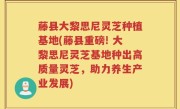 藤县大黎思尼灵芝种植基地(藤县重磅! 大黎思尼灵芝基地种出高质量灵芝，助力养生产业发展)