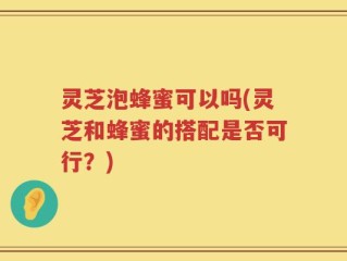 灵芝泡蜂蜜可以吗(灵芝和蜂蜜的搭配是否可行？)
