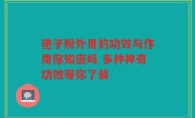 孢子粉外用的功效与作用你知道吗 多种神奇功效等你了解