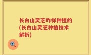 长白山灵芝咋样种植的(长白山灵芝种植技术解析)