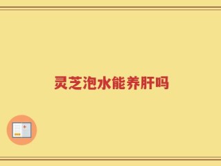 灵芝泡水能养肝吗