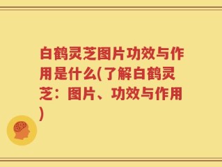 白鹤灵芝图片功效与作用是什么(了解白鹤灵芝：图片、功效与作用)