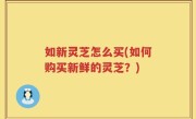 如新灵芝怎么买(如何购买新鲜的灵芝？)