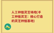 人工种植灵芝场地(手工种植灵芝：精心打造的灵芝种植基地)