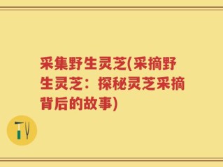 采集野生灵芝(采摘野生灵芝：探秘灵芝采摘背后的故事)