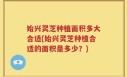 始兴灵芝种植面积多大合适(始兴灵芝种植合适的面积是多少？)