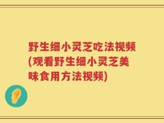 野生细小灵芝吃法视频(观看野生细小灵芝美味食用方法视频)