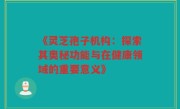 《灵芝孢子机构:探索其奥秘功能与在健康领域的重要意义》