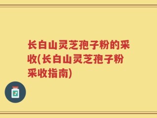 长白山灵芝孢子粉的采收(长白山灵芝孢子粉采收指南)