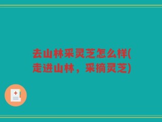 去山林采灵芝怎么样(走进山林，采摘灵芝)