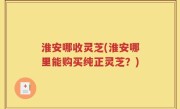 淮安哪收灵芝(淮安哪里能购买纯正灵芝？)