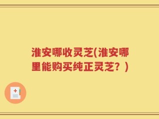 淮安哪收灵芝(淮安哪里能购买纯正灵芝？)